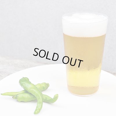 画像3: 木村硝子店 / コンパクト・タンブラー 10oz