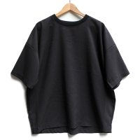 【SALE20%OFF】￥16,500→￥13,200 / HARVESTY（ハーベスティ）/ トロピカル ピンストライプ 半袖プルオーバー